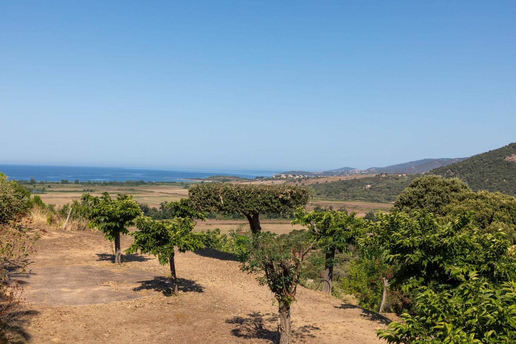 Camping Les Couchants Casaglione Εξωτερικό φωτογραφία